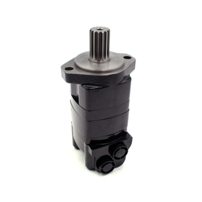 BMK2 Series Hydraulic Motor.jpg