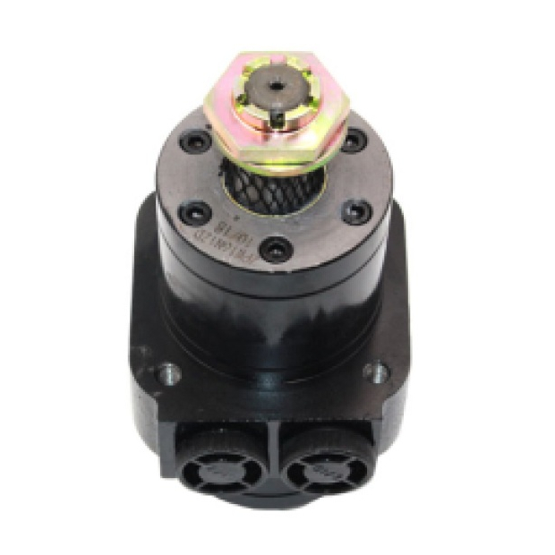 2-1 BMPW Series Hydraulic Motor.jpg