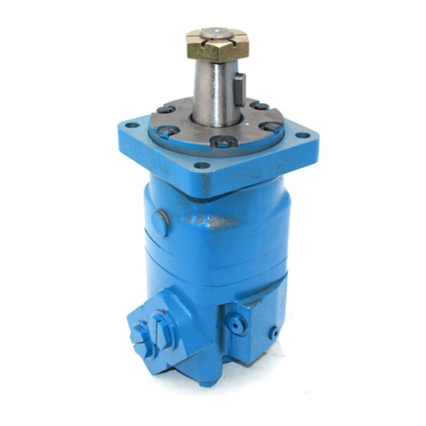 BMK6 Series Hydraulic Motor.jpg